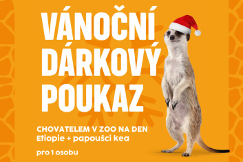 Chovatel: Etiopie + papoušci kea, 1 osoba