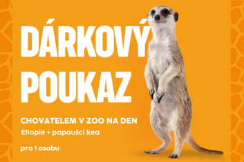 Chovatel: Etiopie + papoušci kea, 1 osoba