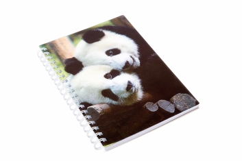3D blok panda