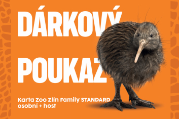 DP karta Family STANDARD osobní+host