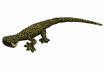 Plyšový gekon černožlutý 112 cm