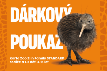 DP karta FAMILY STANDARD rodiče a 1-2 děti 3-13