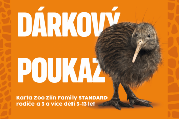 DP karta FAMILY STANDARD rodiče a 3 a více dětí 3-13