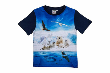 Dětské tričko Arktida