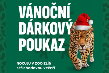 Nocuju v zoo s tříchodovou večeří