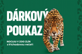 Nocuju v zoo s tříchodovou večeří