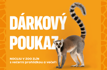 Nocuju v zoo s večerní prohlídkou a večeří