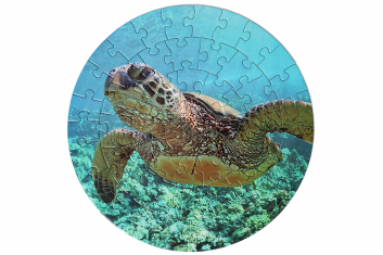 Puzzle mořská želva