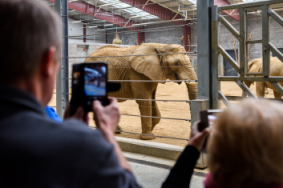 Návštěva pavilonu slonů 23.3.2024