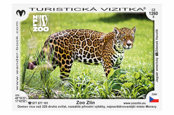Turistická vizitka jaguár