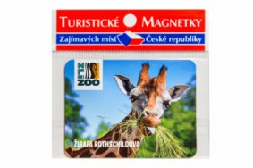 Magnetka zoo - různé motivy