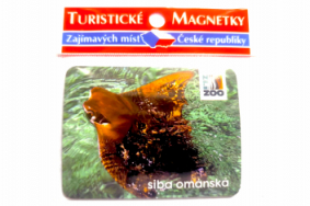 Magnetka zoo - různé motivy